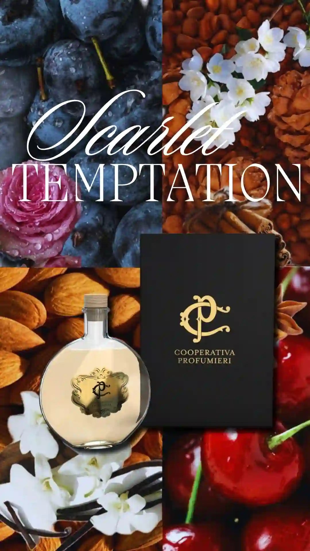 SCARLET TEMPTATION - Cooperativa Profumieri