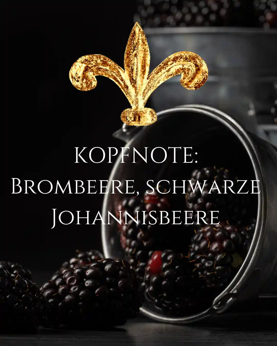 IMPERATRIX – OLFAZETA Extrait de Parfum