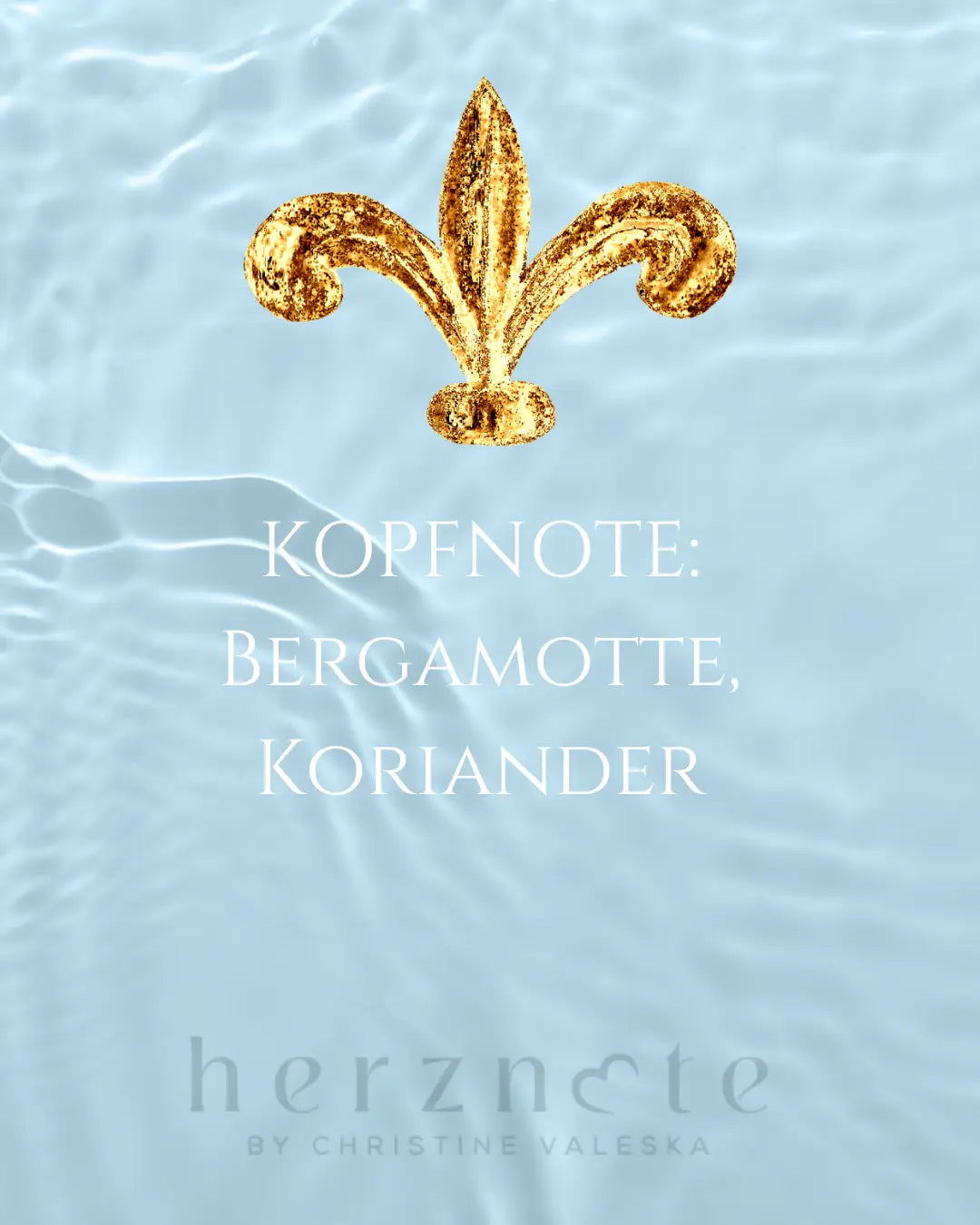 NADIR – OLFAZETA Extrait de Parfum